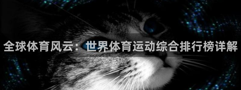一竞技官方正版app集团:全球体育风云:世界体育运动综合排行
