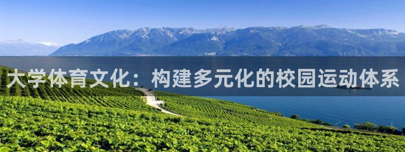 一竞技官方正版app娱乐平台:大学体育文化:构建多元化的校园