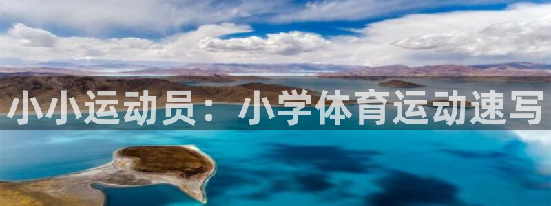 一竞技官方正版app娱乐40996:小小运动员:小学体育运动