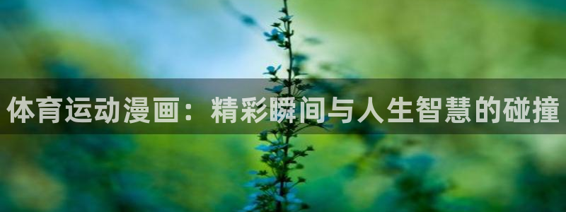 一竞技官方正版app娱乐平台:体育运动漫画:精彩瞬间与人生智