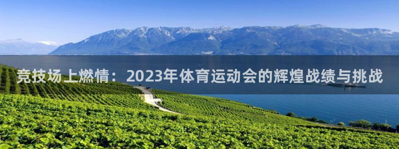 一竞技官方正版app代理:竞技场上燃情:2023年体育运动会