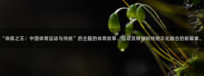 一竞技官方正版app官网:“体操之王:中国体育运动与传统”的