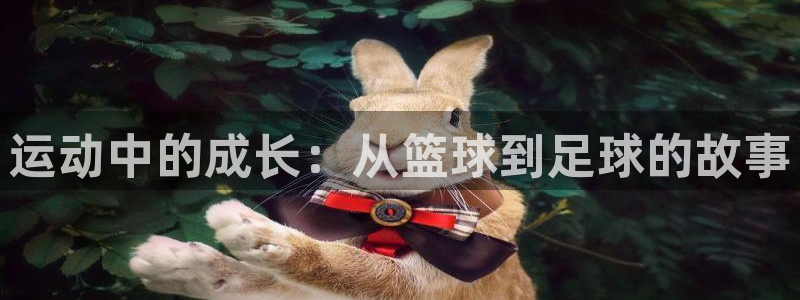 一竞技官方正版app集团简介:运动中的成长:从篮球到足球的故